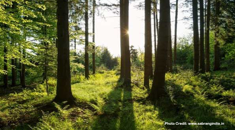 Post 370 Abrogation, August 5, the Forest Advisory Committee of J & K has cleared 125 projects on forest land