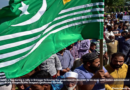 A protester holds a flag during a rally in Srinagar following the government's decision to do away with Indian-administered Kashmir's special status