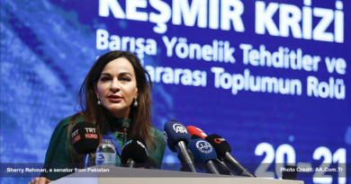 Turkey hosts international conference on Kashm