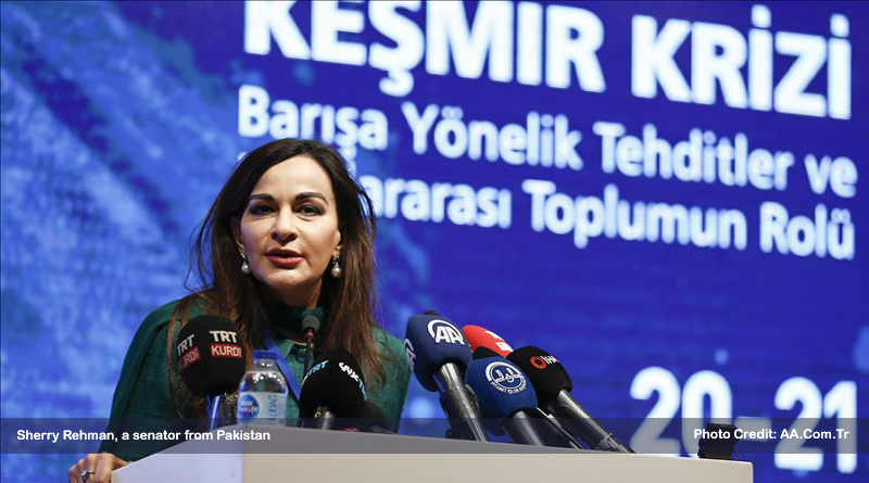 Turkey hosts international conference on Kashm