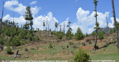 Part of a degraded forest in north Kashmir’s Bandipora district [image by: Athar Parvaiz